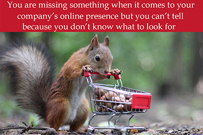 Squirrel and Acorns Squirrel and Acorns