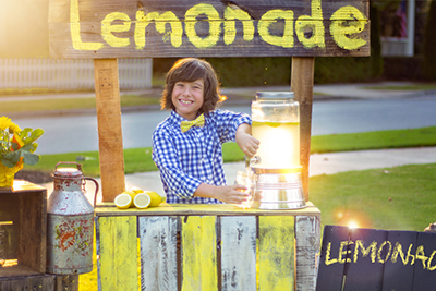 The Lemonade Stand The Lemonade Stand